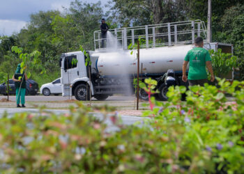 DIA MUNDIAL DA TERRA Prefeitura de Manaus celebra Dcom mais de 5 mil mudas plantadas em menos de 4 meses