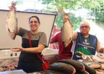 Feirão do Pescado da ADS: mais de 8 toneladas de peixe são comercializadas no primeiro dia da ação