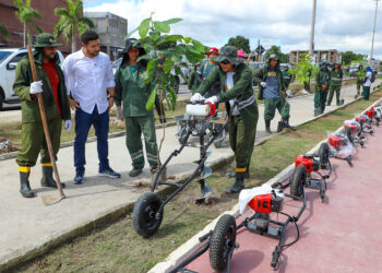 Prefeitura de Manaus atinge marca histórica com plantio de mais de 30 mil mudas no ano