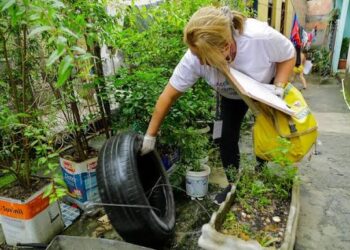 Seis bairros de Manaus têm alto risco de infestação da dengue
