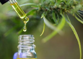 Anvisa aprova novas regras para uso da cannabis medicinal no Brasil