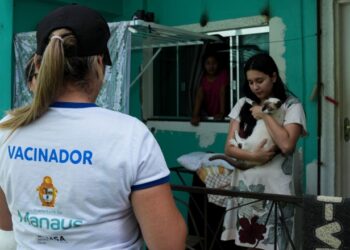 Campanha de vacinação antirrábica da prefeitura teve mais de 288 mil animais imunizados em Manaus