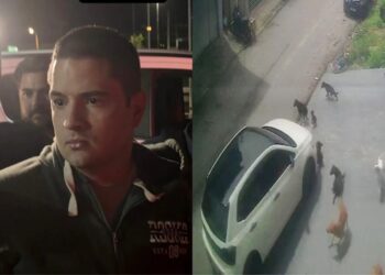 Suspeito de atropelar cães no Parque 10 é preso ao tentar fugir de Manaus